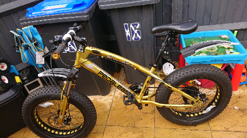 fatboy mountain bike for sale